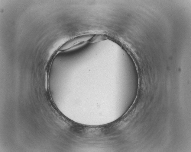 X0000088091171200706011556