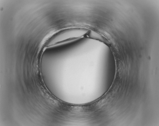 X0000088091172200706011556