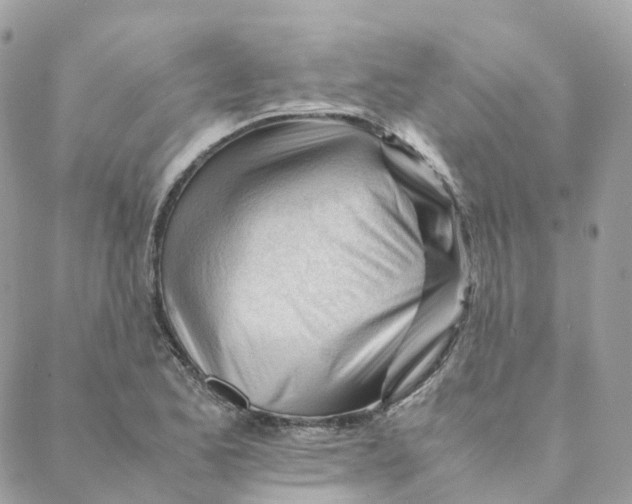 X0000088091173200706011556