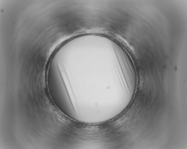 X0000088091174200706011556