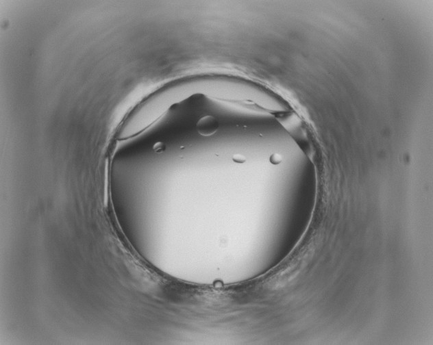 X0000088091175200706011556