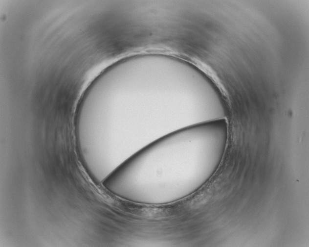 X0000088091176200706011556