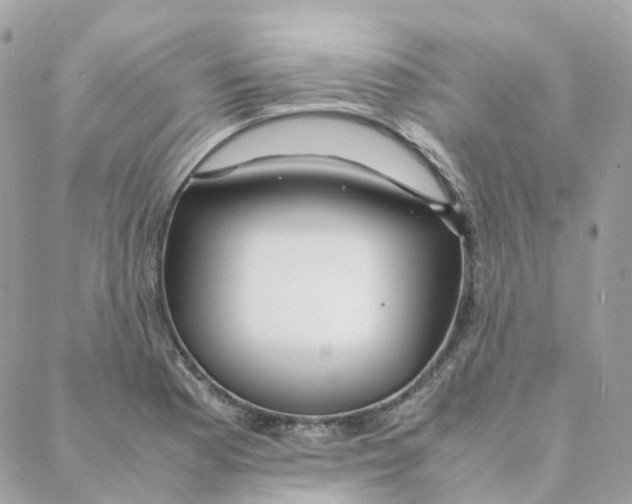 X0000088091177200706011556