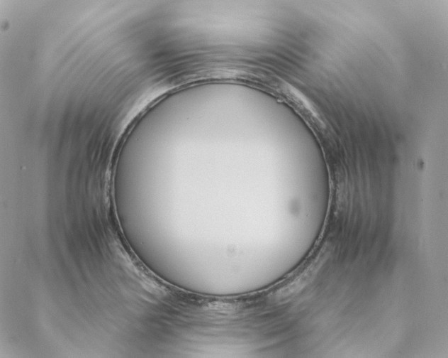 X0000088091178200706011556