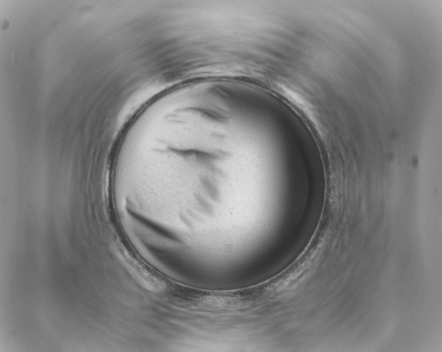 X0000088091179200706011556