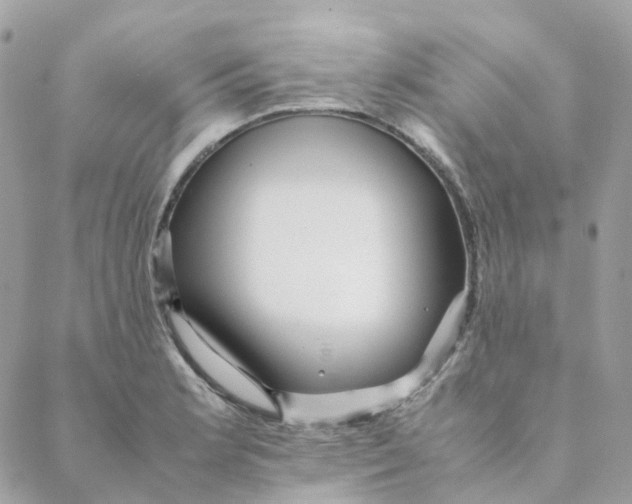 X0000088091181200706011556