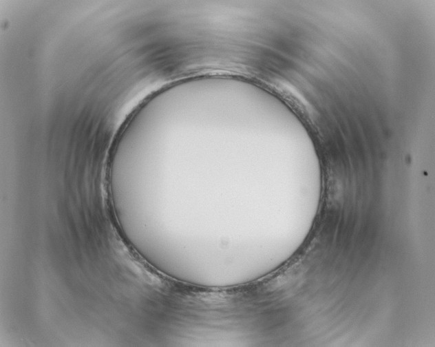 X0000088091182200706011556