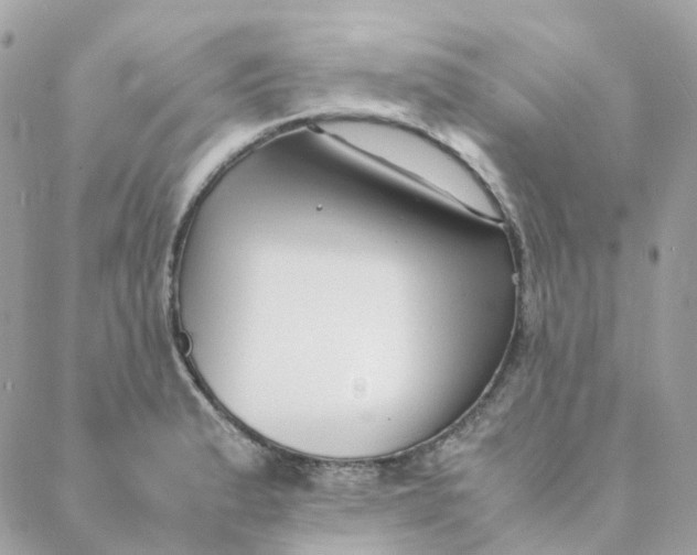 X0000088091183200706011556