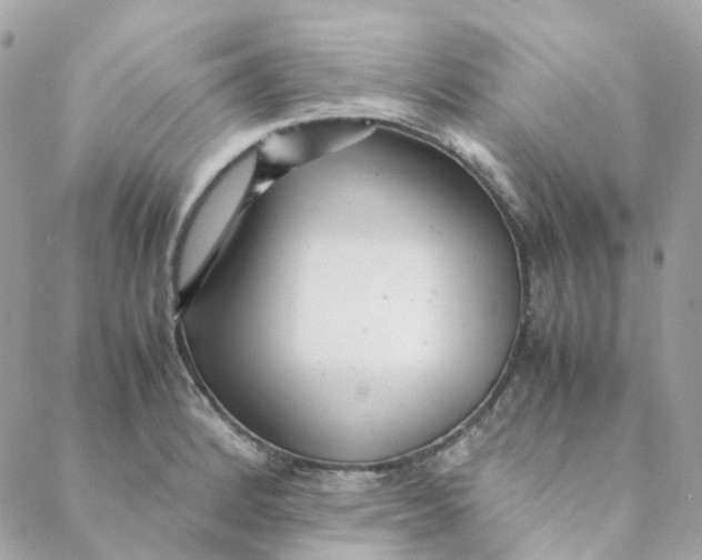 X0000088091184200706011556