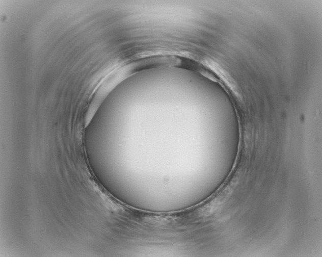 X0000088091185200706011556