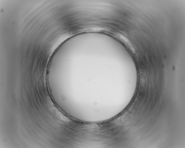 X0000088091186200706011556