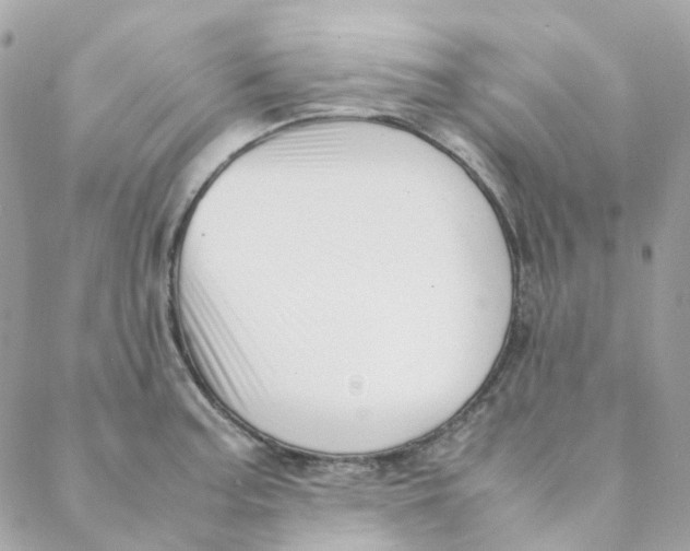 X0000088091187200706011556