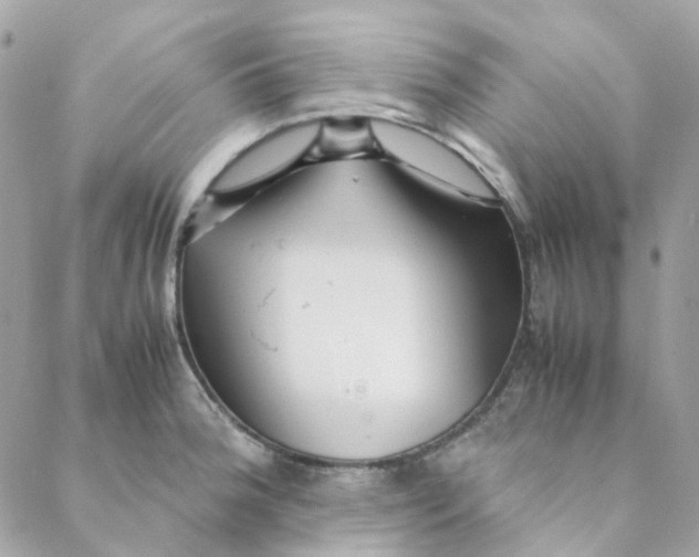 X0000088091188200706011556