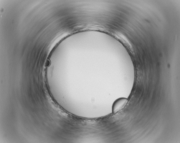 X0000088091190200706011556