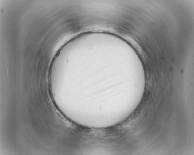 X0000088091191200706011556