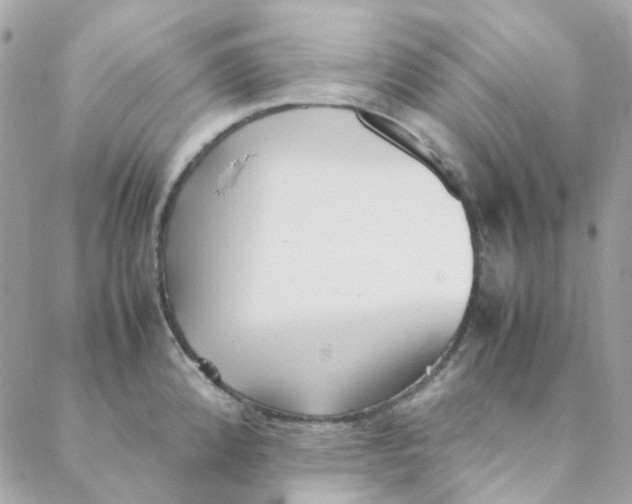 X0000088091192200706011556