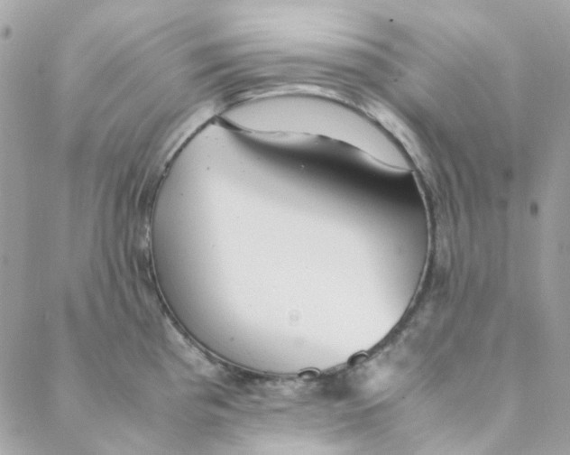 X0000088091193200706011556