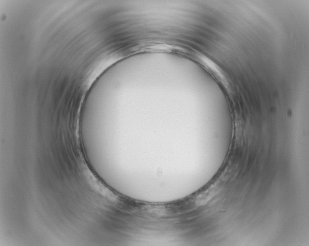 X0000088091194200706011556