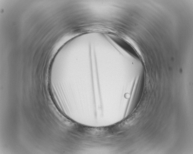 X0000088091195200706011556