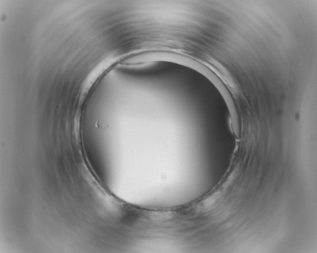 X0000088091196200706011556