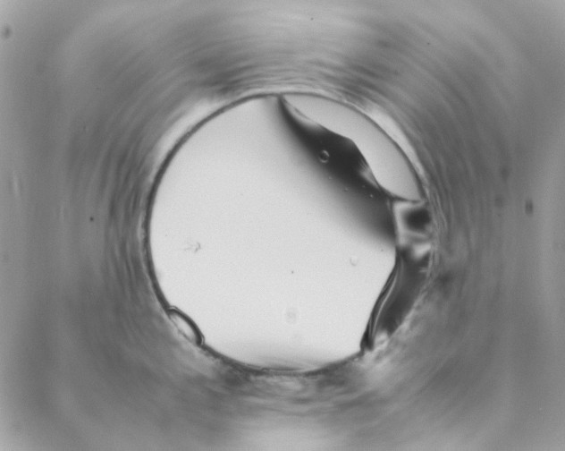 X0000088091197200706011556