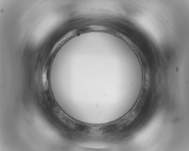 X0000088091198200706011556