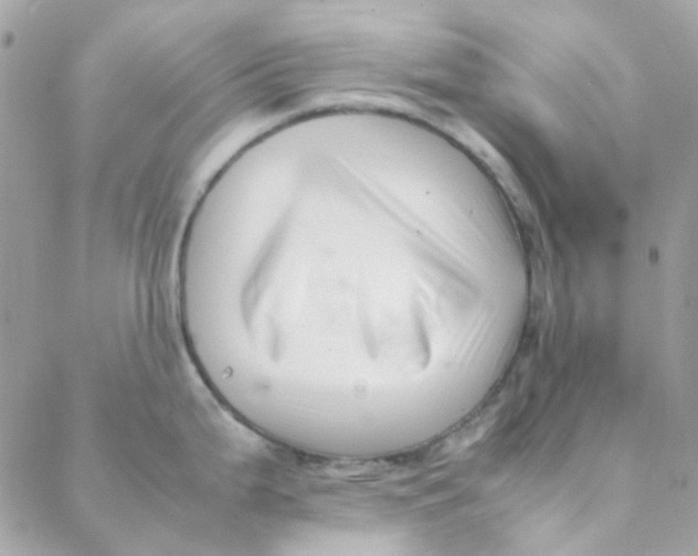 X0000088091199200706011556