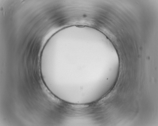 X0000088091200200706011556