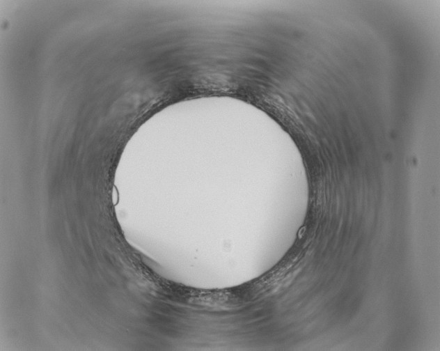 X0000088091201200706011555