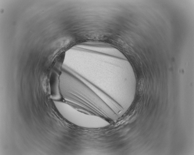 X0000088091202200706011555