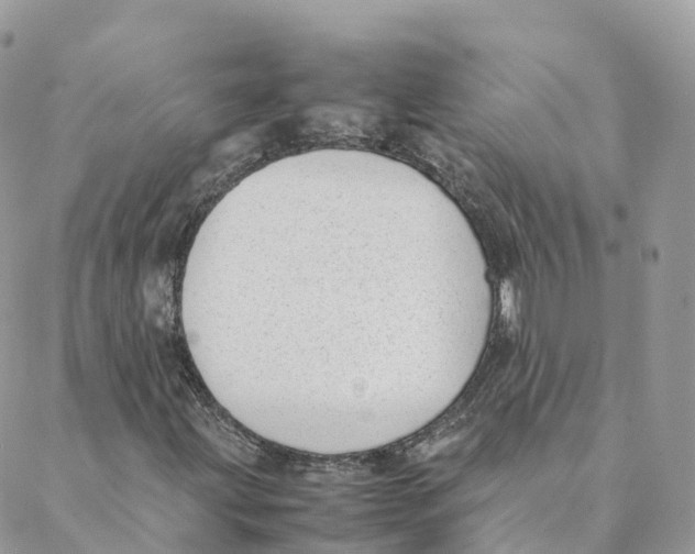 X0000088091203200706011555