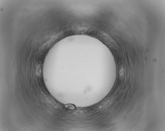 X0000088091204200706011555