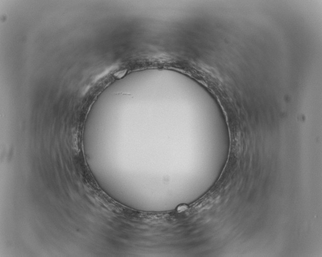 X0000088091205200706011555