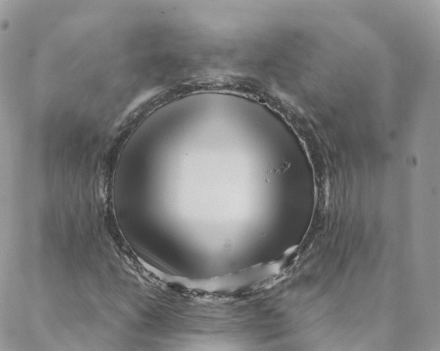 X0000088091206200706011555