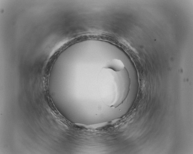 X0000088091208200706011555