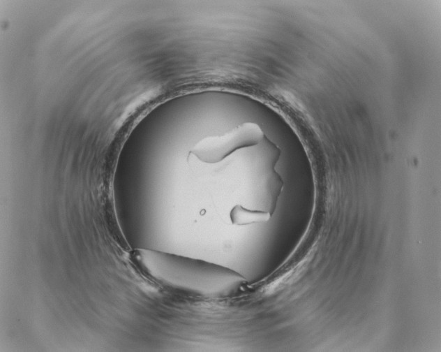 X0000088091210200706011555