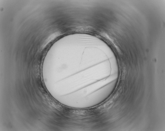 X0000088091211200706011555