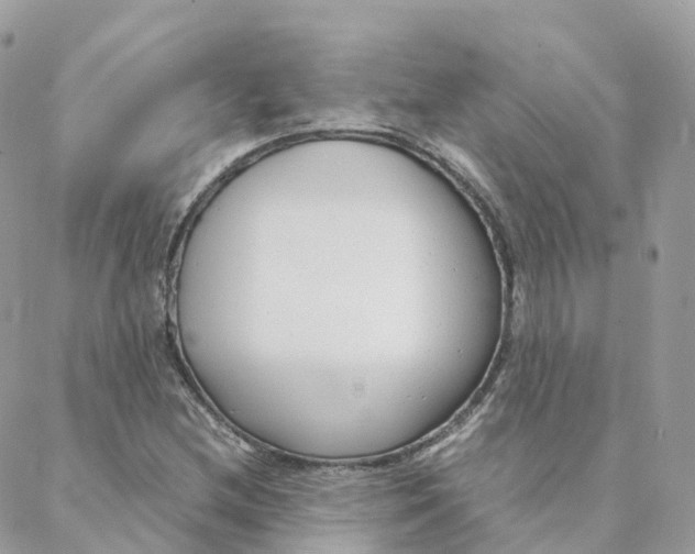 X0000088091212200706011555