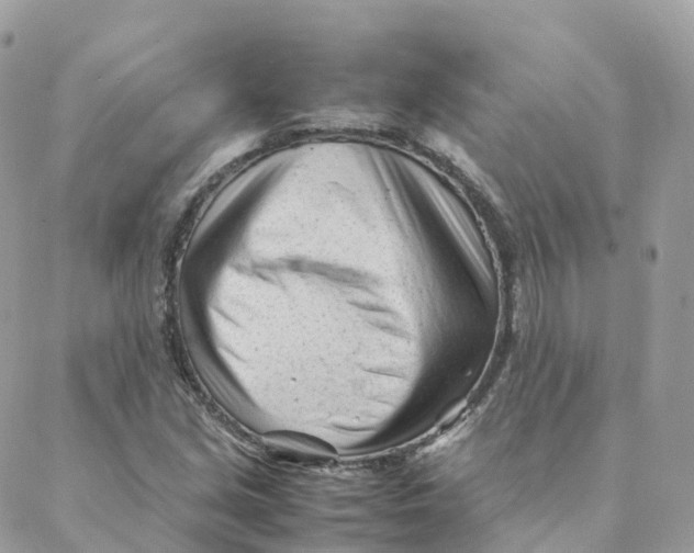 X0000088091213200706011555