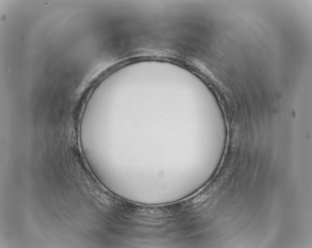 X0000088091215200706011555