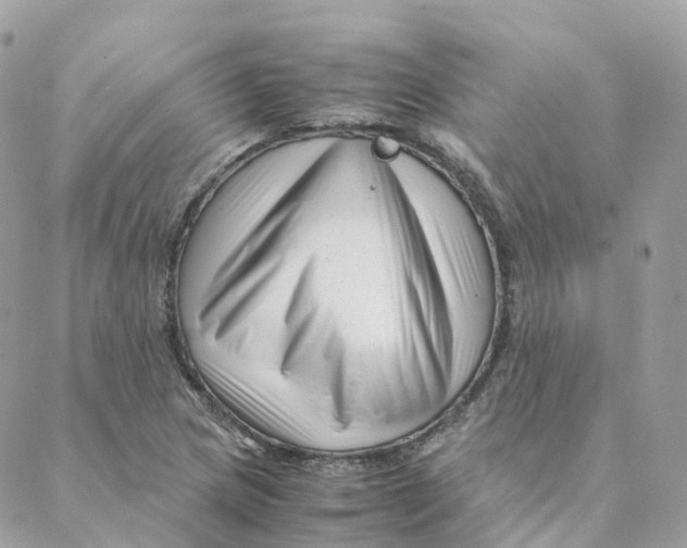 X0000088091217200706011555