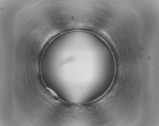 X0000088091218200706011555