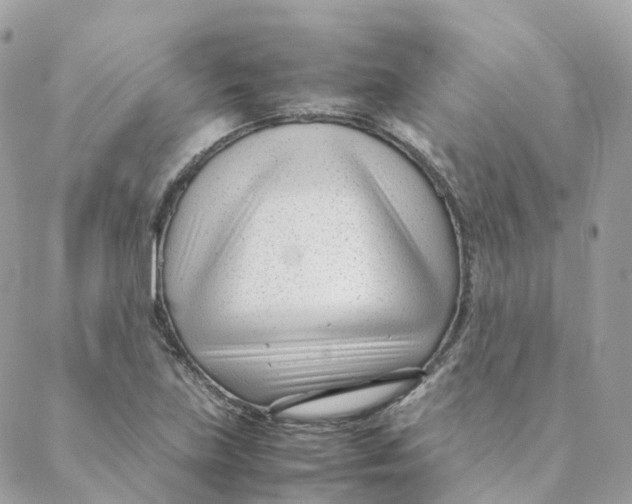 X0000088091219200706011555