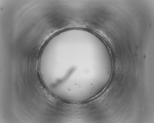 X0000088091220200706011555