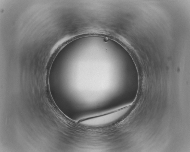 X0000088091222200706011555