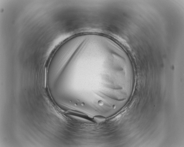 X0000088091223200706011555