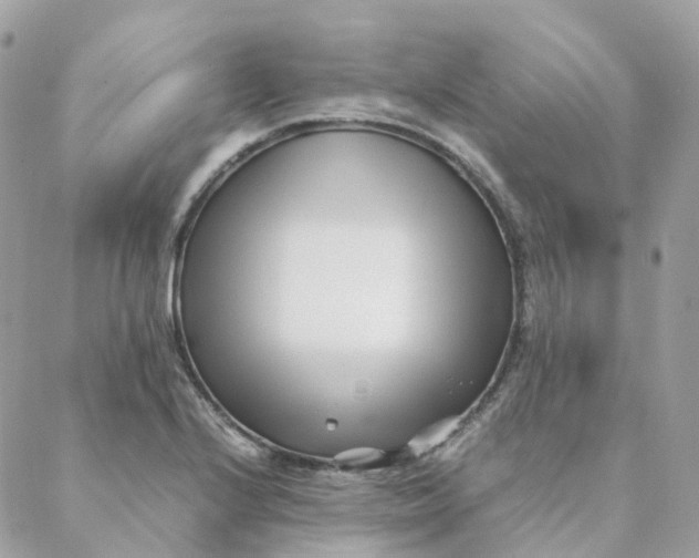 X0000088091224200706011555