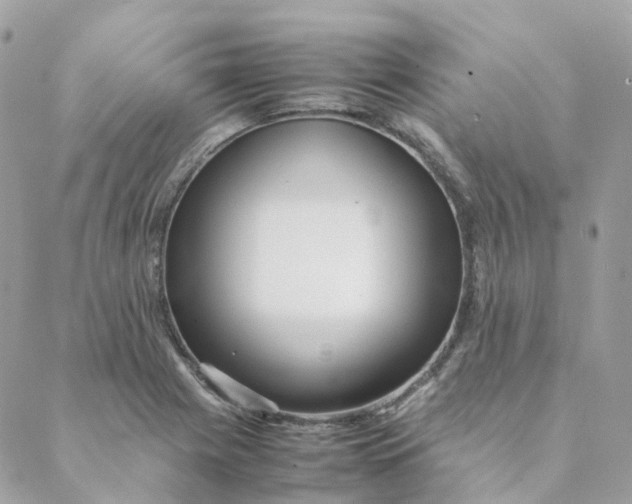 X0000088091225200706011555