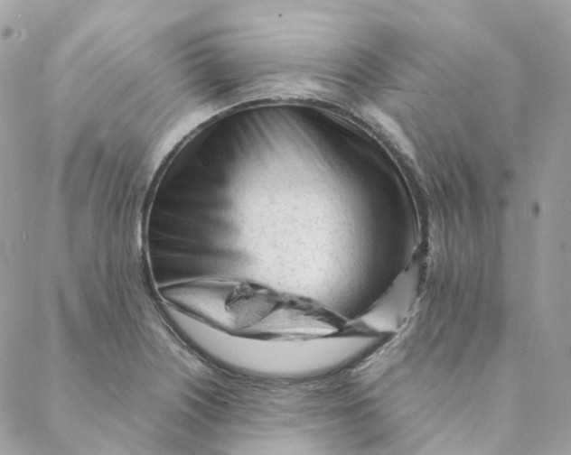 X0000088091226200706011555