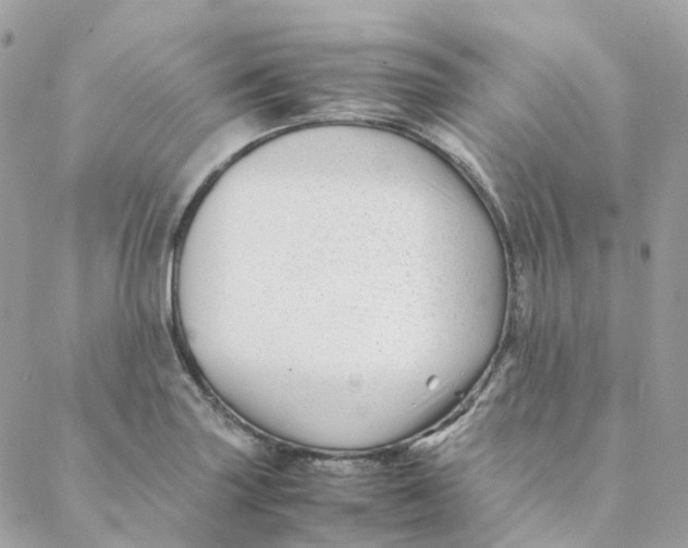 X0000088091227200706011555